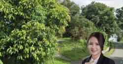 Kempas Baru – Agriculture Land – FOR SALE