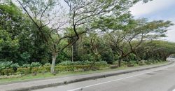 Skudai – Commercial Land – FOR SALE