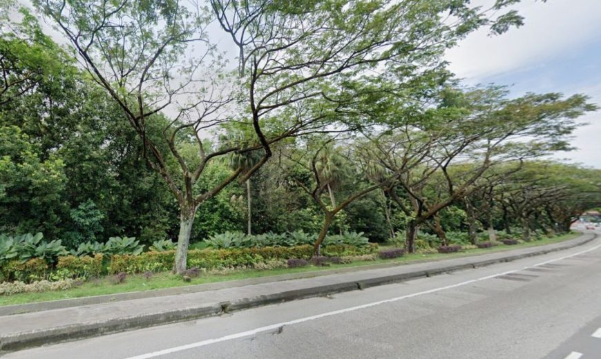 Skudai – Commercial Land – FOR SALE