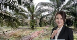Pekan Nanas – Agriculture Land – FOR SALE