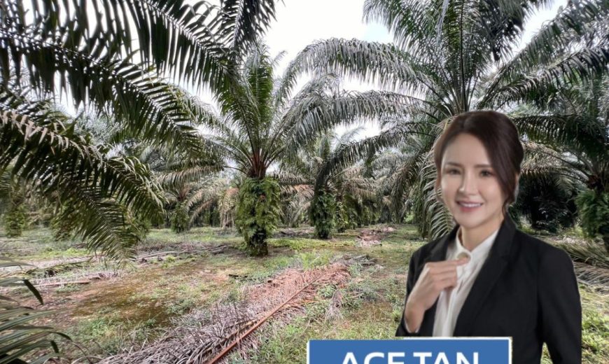 Pekan Nanas – Agriculture Land – FOR SALE