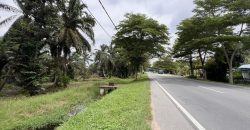 Pekan Nanas – Agriculture Land – FOR SALE