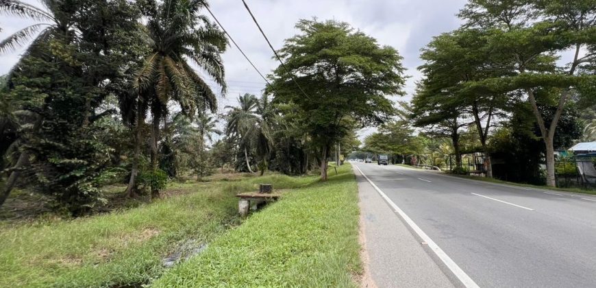 Pekan Nanas – Agriculture Land – FOR SALE