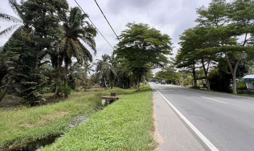 Pekan Nanas – Agriculture Land – FOR SALE
