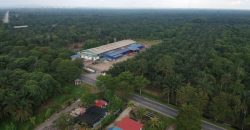 Pekan Nanas – Agriculture Land – FOR SALE