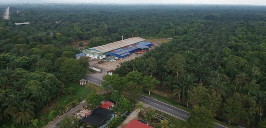 Pekan Nanas – Agriculture Land – FOR SALE