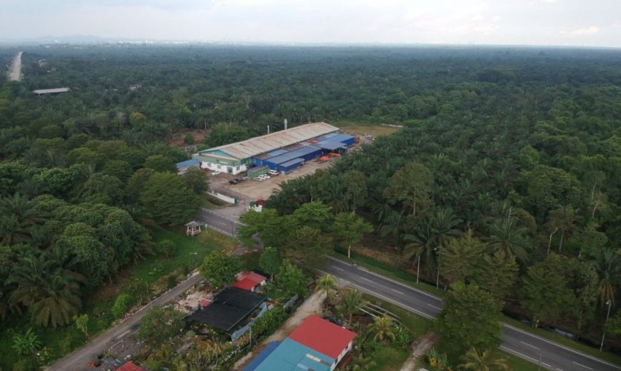 Pekan Nanas – Agriculture Land – FOR SALE