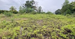 Kulai – Industrial Land – FOR SALE