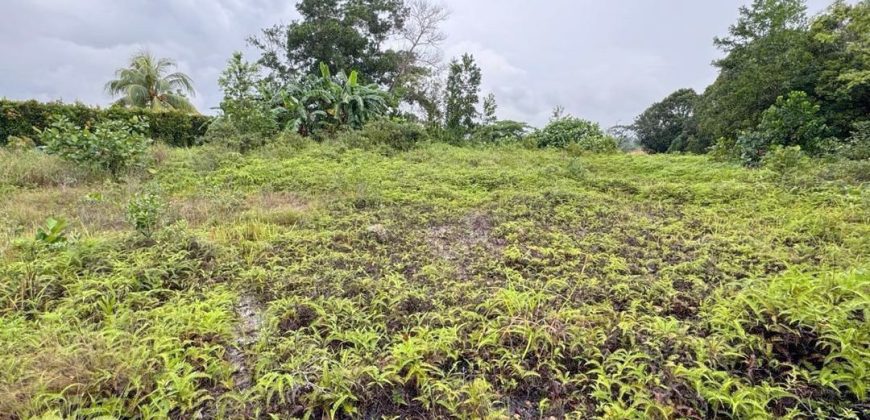 Kulai – Industrial Land – FOR SALE