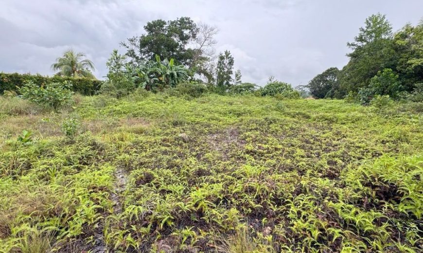 Kulai – Industrial Land – FOR SALE