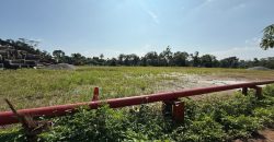 Seelong @ Senai – Detached Factory – FOR SALE
