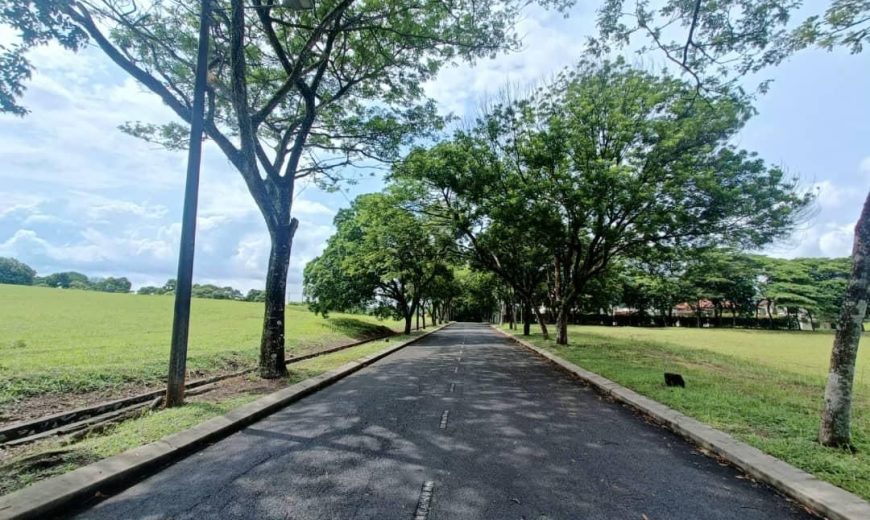 Leisure Farm – Bungalow Land – FOR SALE