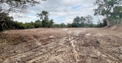 Ledang Heights @ Iskandar Puteri – Bungalow Land – FOR SALE