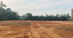 Seelong Jaya @ Senai – Detached Factory – FOR SALE