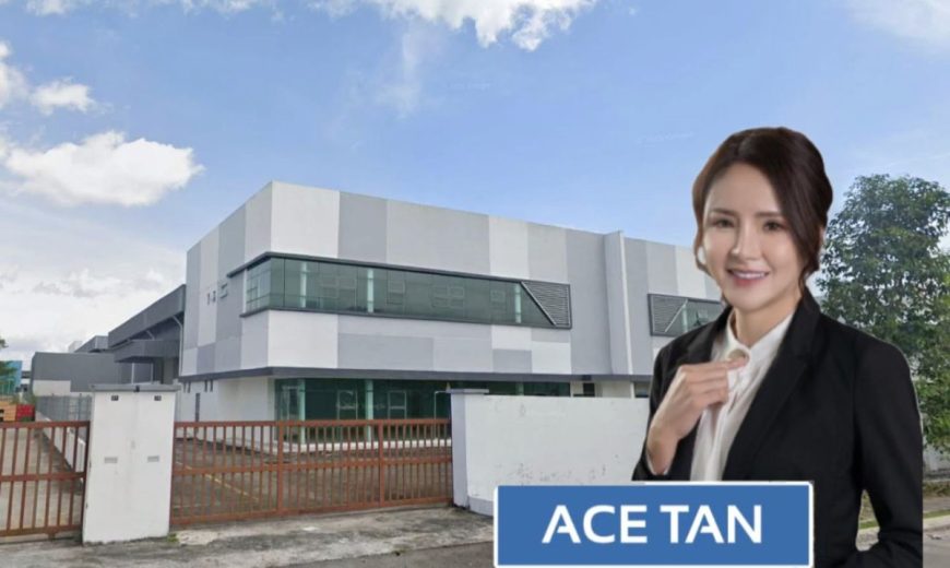 Pekan Nanas – 1.5 Storey Semi Detached Factory – FOR SALE
