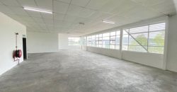 Pekan Nanas – 1.5 Storey Semi Detached Factory – FOR SALE