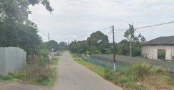 Pekan Nanas – Industrial Land – FOR SALE