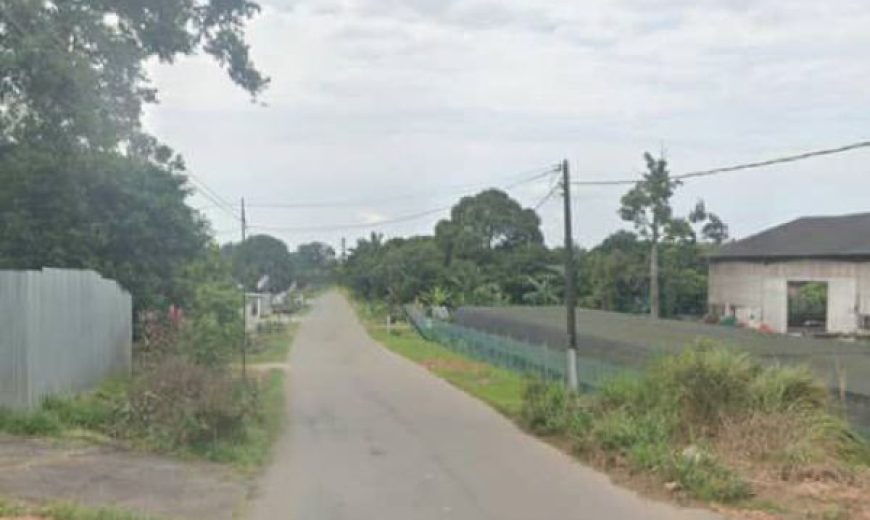 Pekan Nanas – Industrial Land – FOR SALE