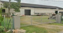 Pekan Nanas – Industrial Land – FOR SALE