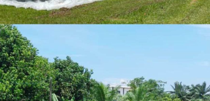 Pekan Nanas – Industrial Land – FOR SALE