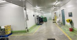 Machap – Detached Factory – FOR SALE