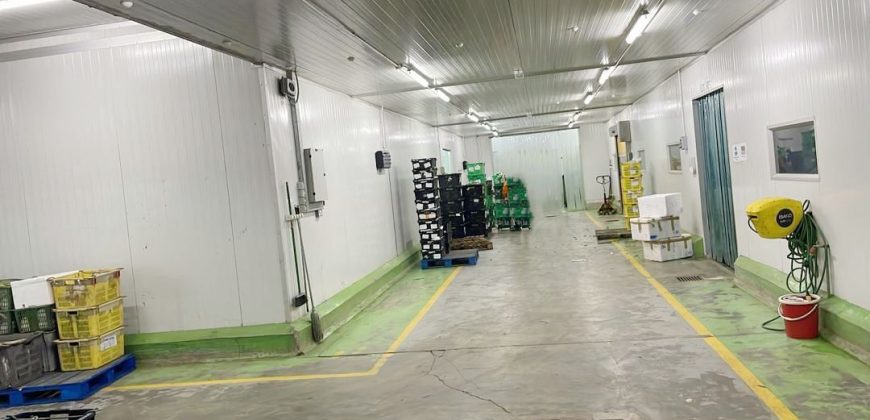 Machap – Detached Factory – FOR SALE